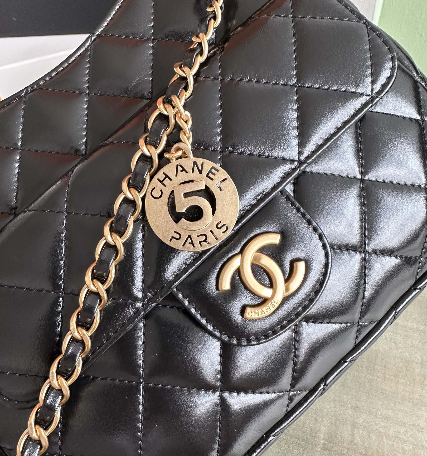 Chanel Luxury Handbag Collection 6