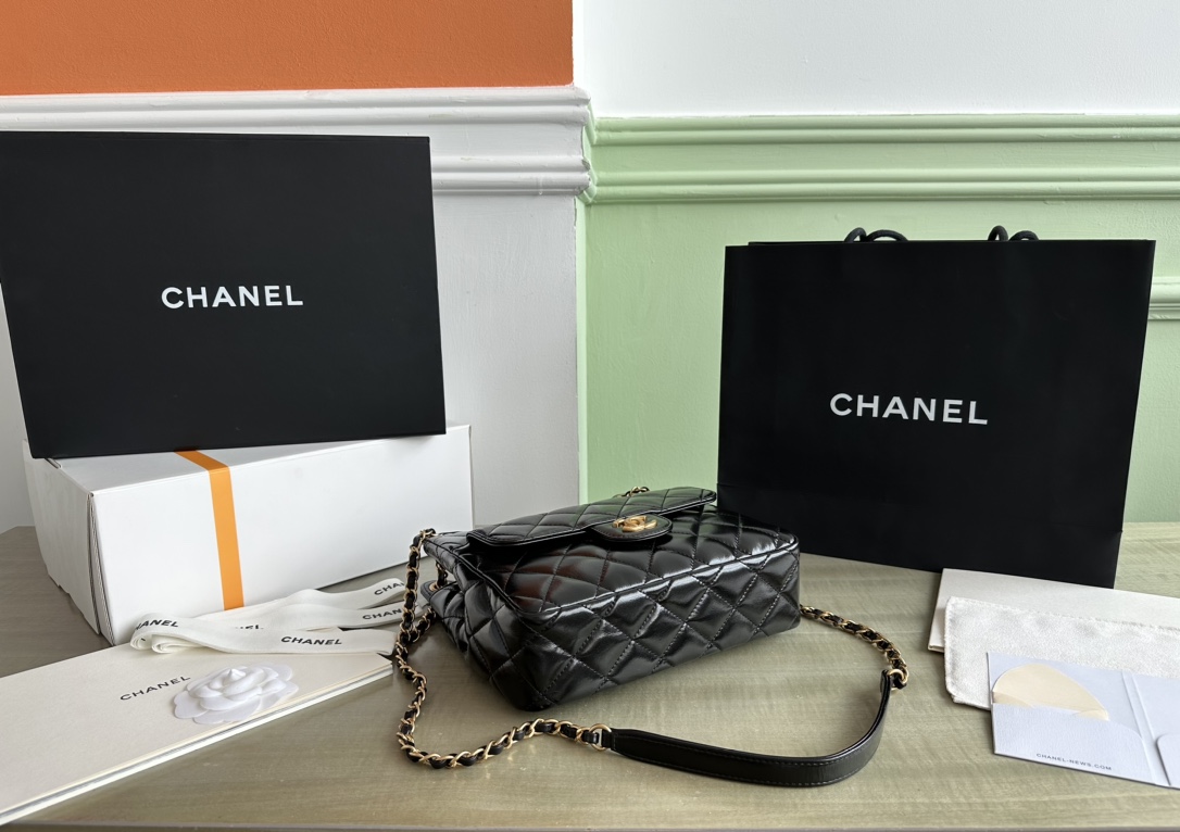 Chanel Luxury Handbag Collection 4