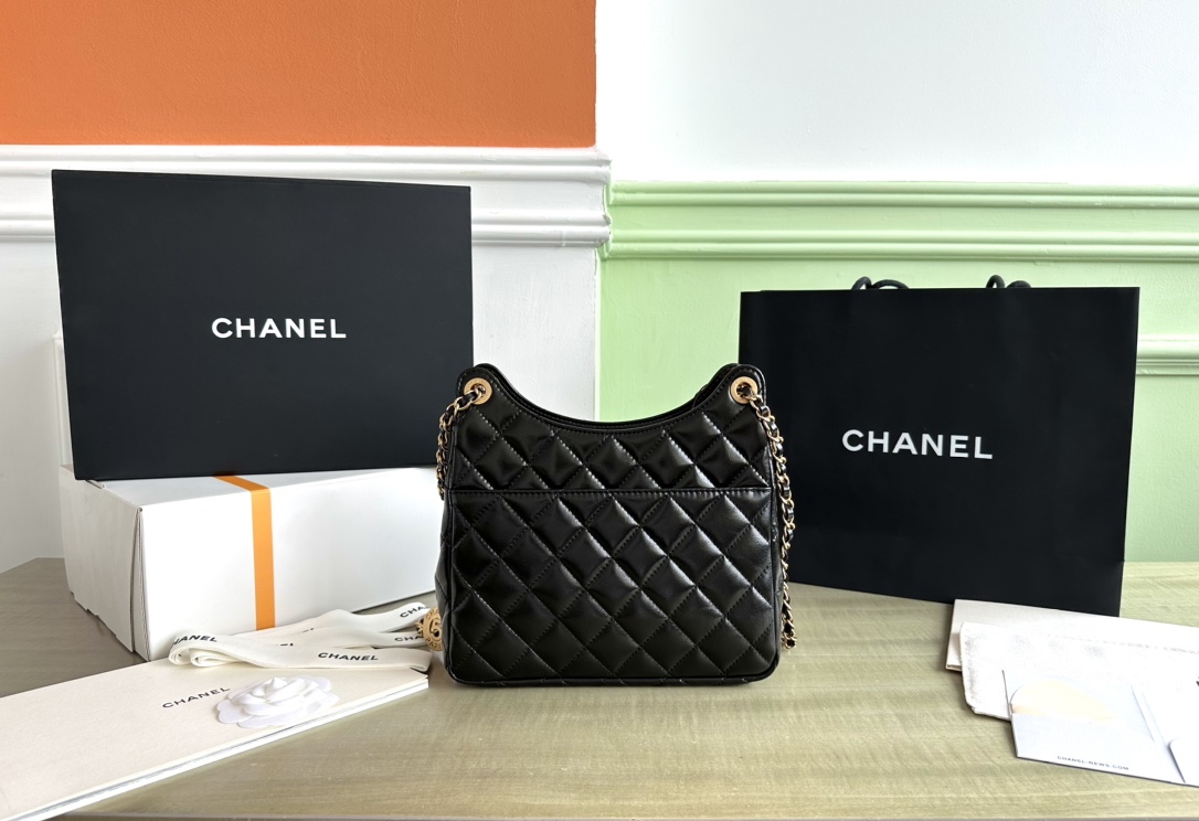 Chanel Luxury Handbag Collection 2