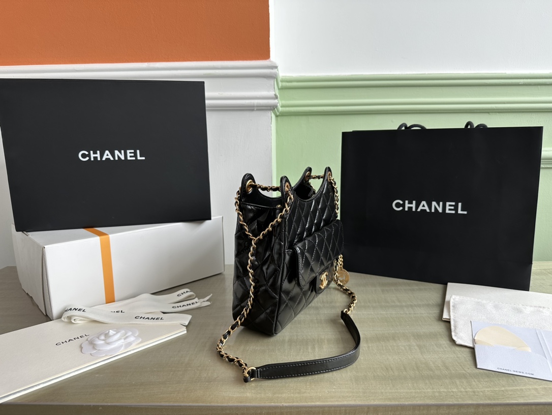 Chanel Luxury Handbag Collection 3