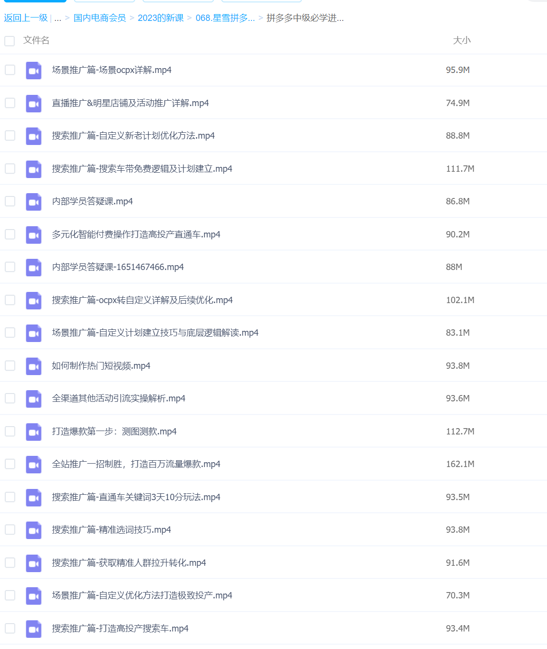 068.星雪拼多多高级班