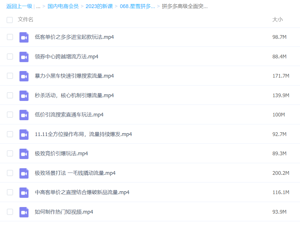 068.星雪拼多多高级班