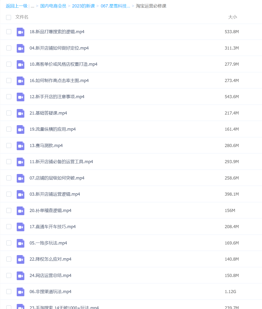 067.星雪科技淘宝进阶课程