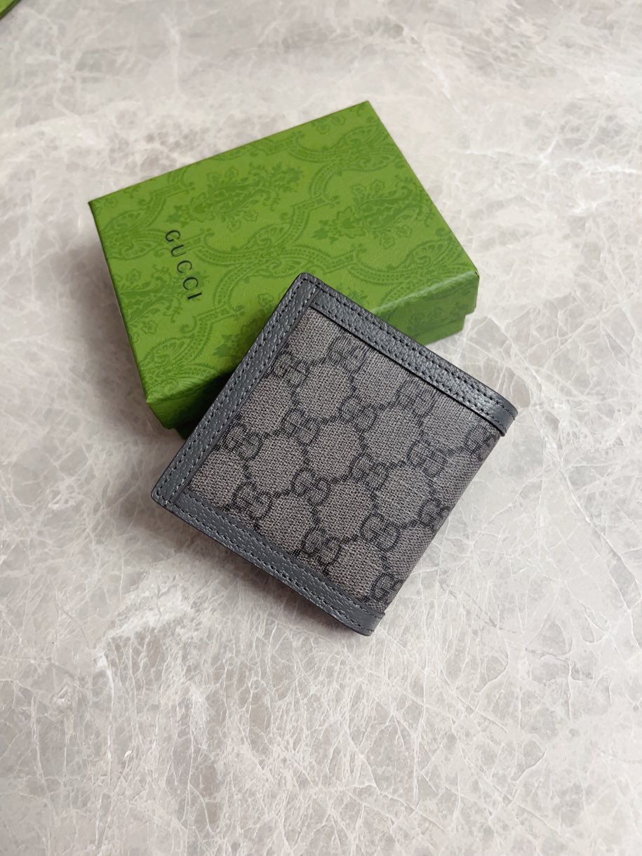 Gucci Ophidia GG Supreme Grey everyday