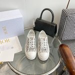 Dior Sneakers Canvas Shoes Embroidery Women Canvas Cotton PU Sheepskin TPU Oblique Casual