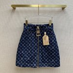 Louis Vuitton Clothing Skirts