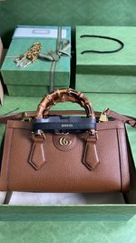 Gucci Diana Crossbody & Shoulder Bags Brown