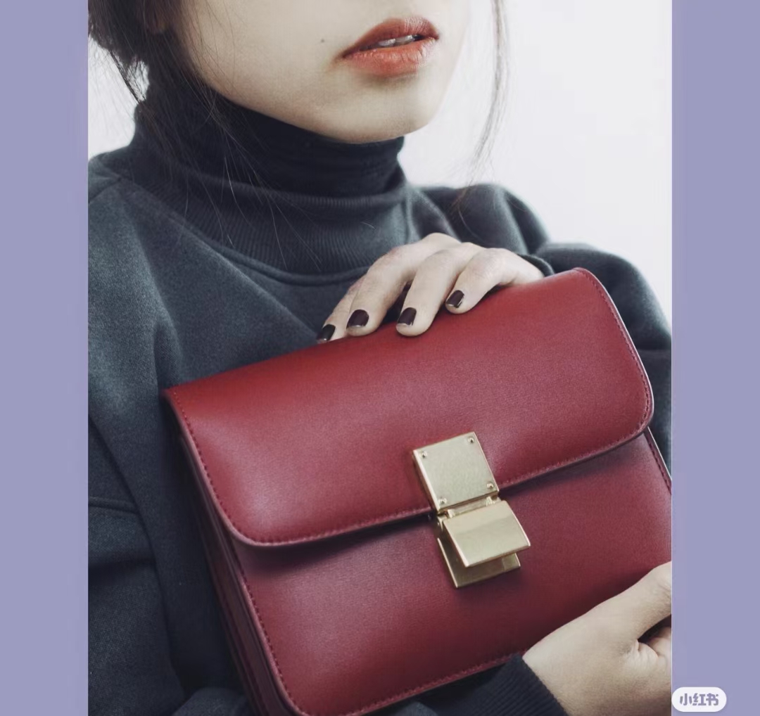Celine Small everyday