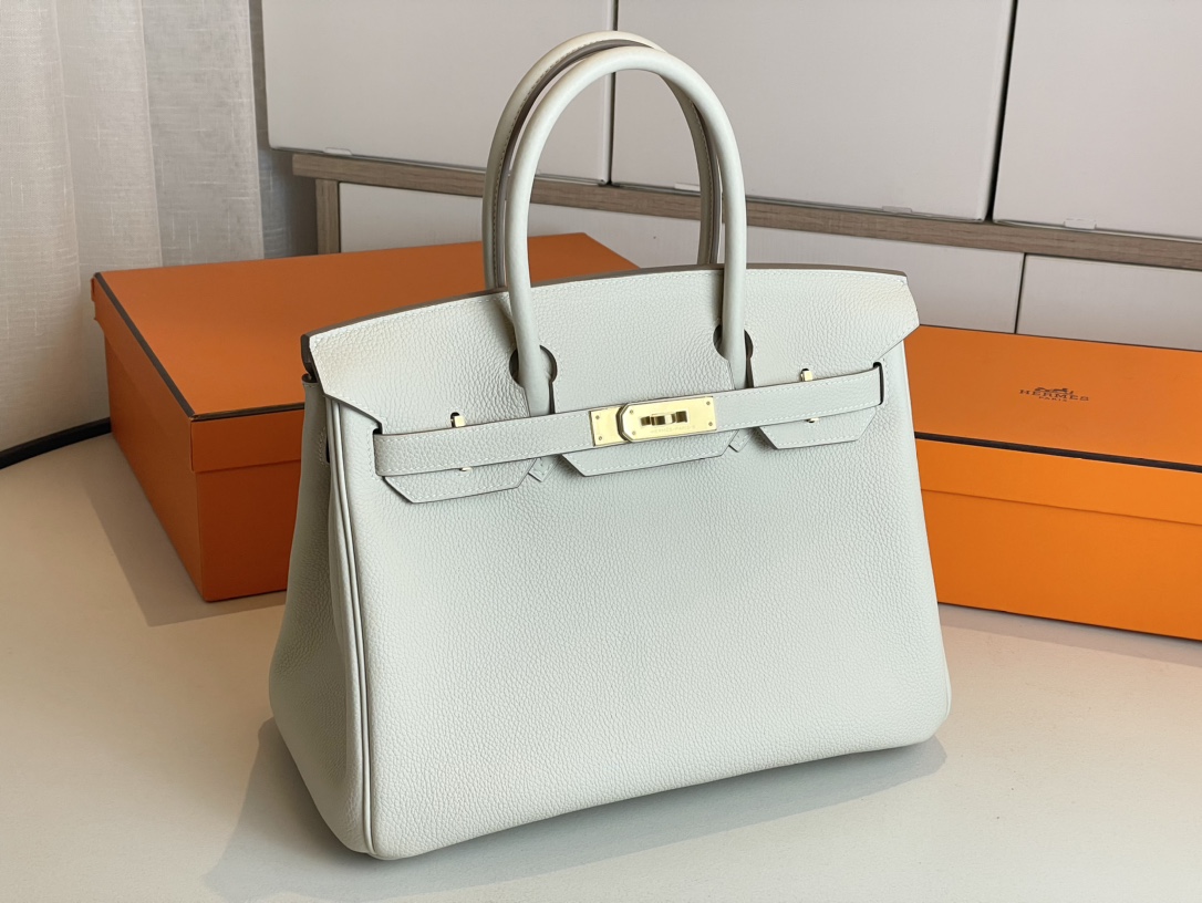 Hermes Birkin Bags Handbags Milkshake White Gold Hardware