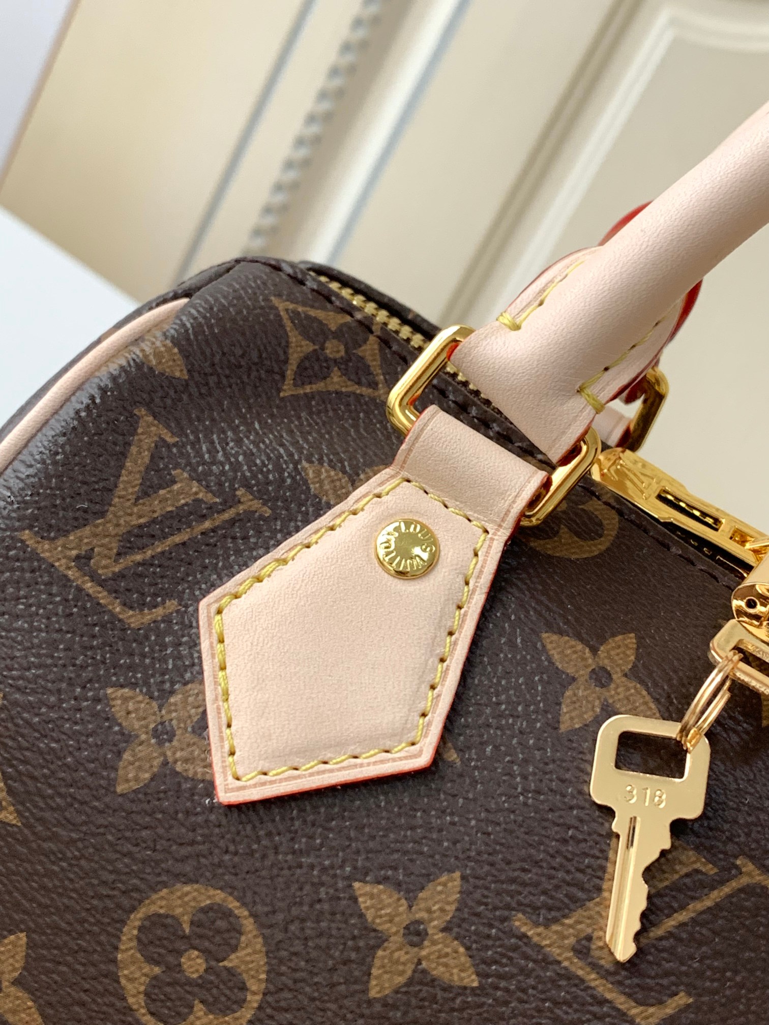 【海原外单 独实家拍】【 M46222老花】本款 Speedy Bandoulière 20 手袋采选 