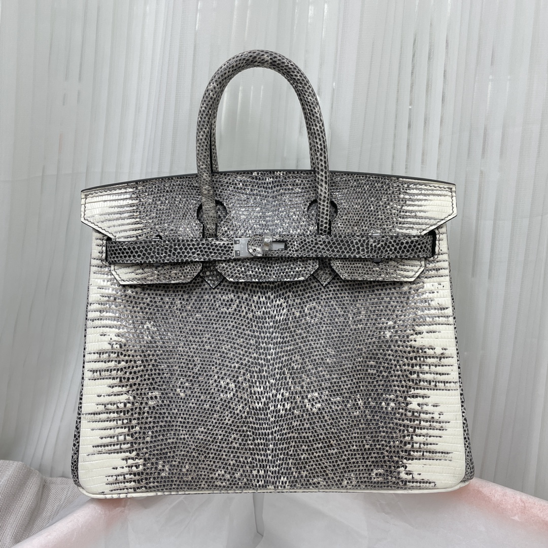 Hermes Birkin Bags Handbags