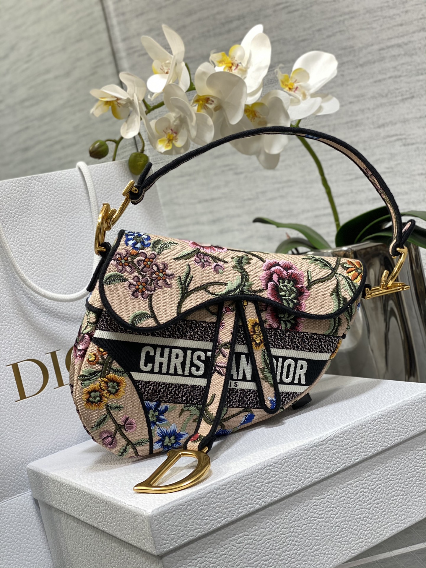 [Dior Women