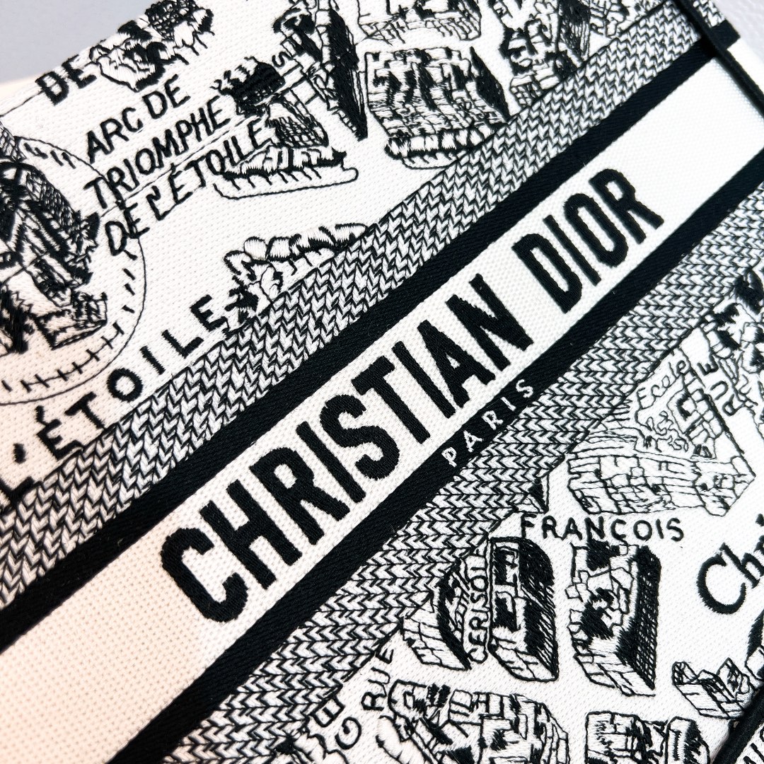 Сумка Christian Dior Book Tote с картой Парижа