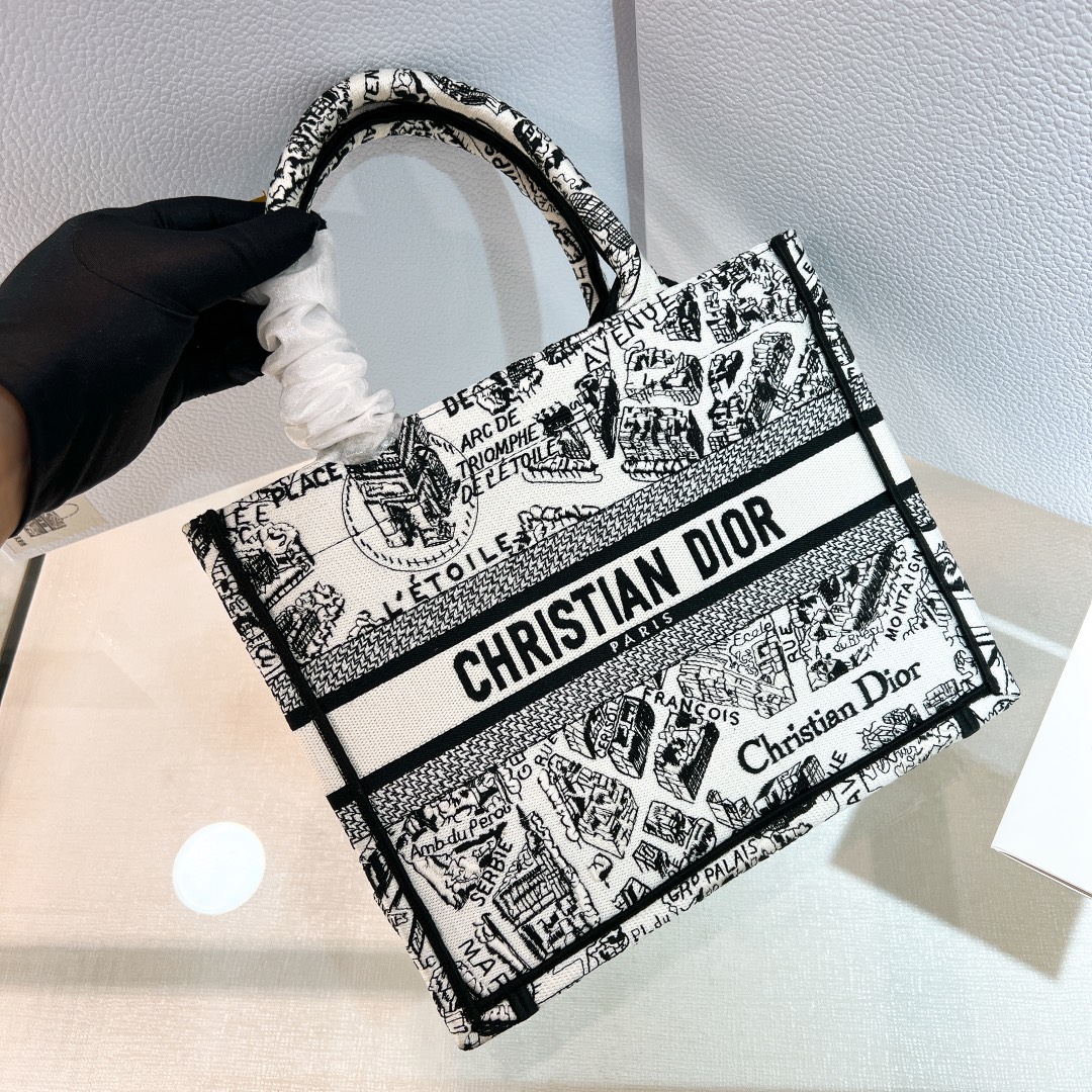 Сумка Christian Dior Book Tote с картой Парижа