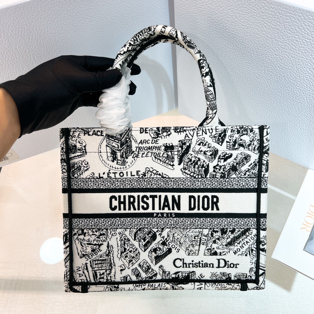 Сумка Christian Dior Book Tote с картой Парижа