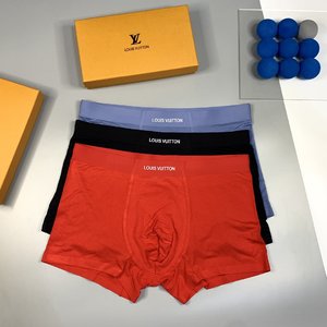 Louis Vuitton Clothing Panties Men Fashion