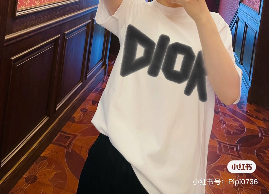 170 DIOR 2023 春夏最新 手绘 字母短袖 xs- L 黑白 明星同款