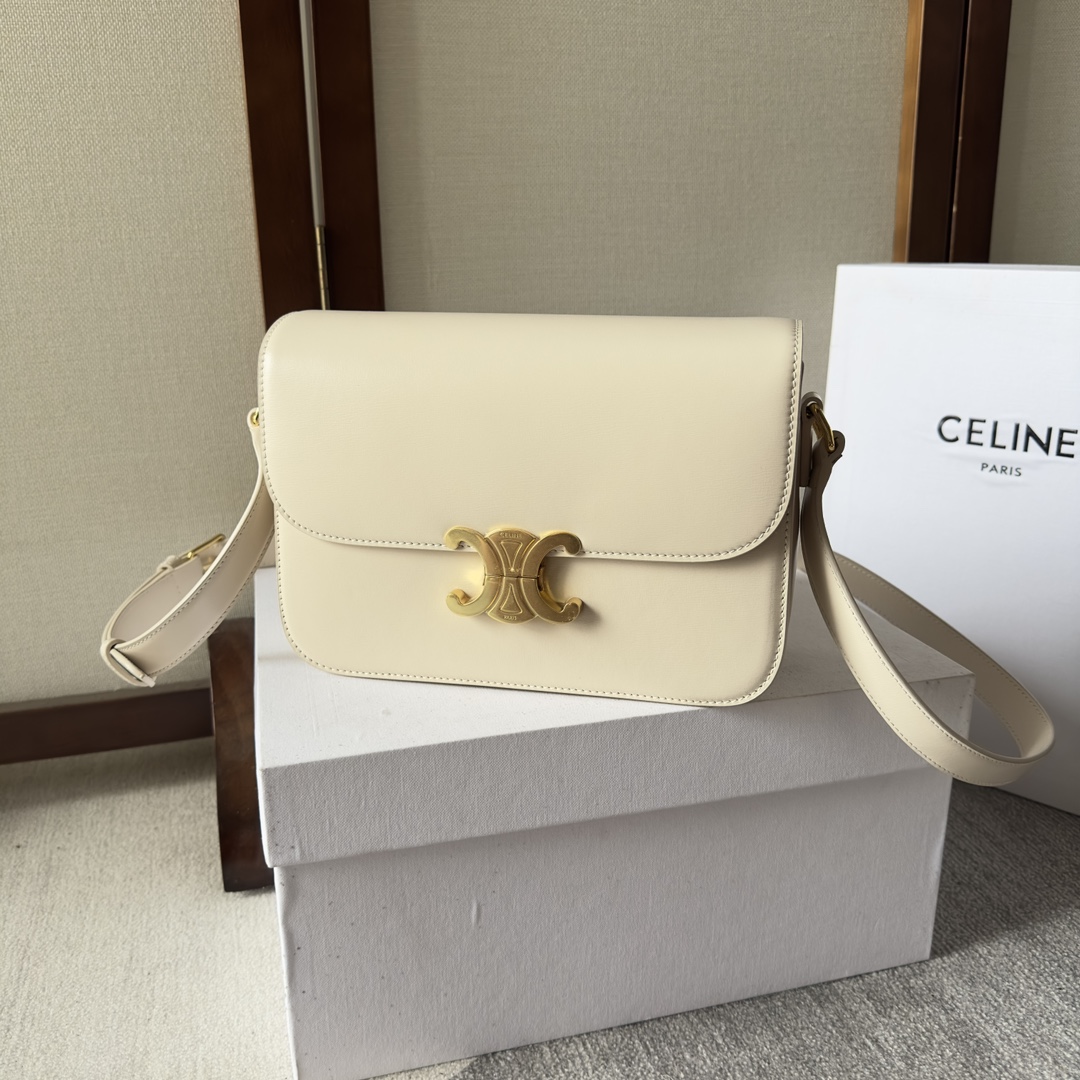 Celine Style Leather Bag Lookbook Reference image 1