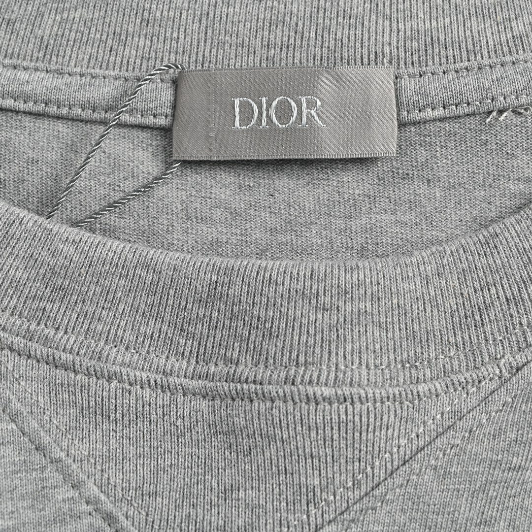 Dior /迪奥 23ss 刺绣银标logo短袖