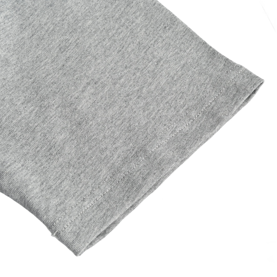 Dior /迪奥 23ss 刺绣银标logo短袖