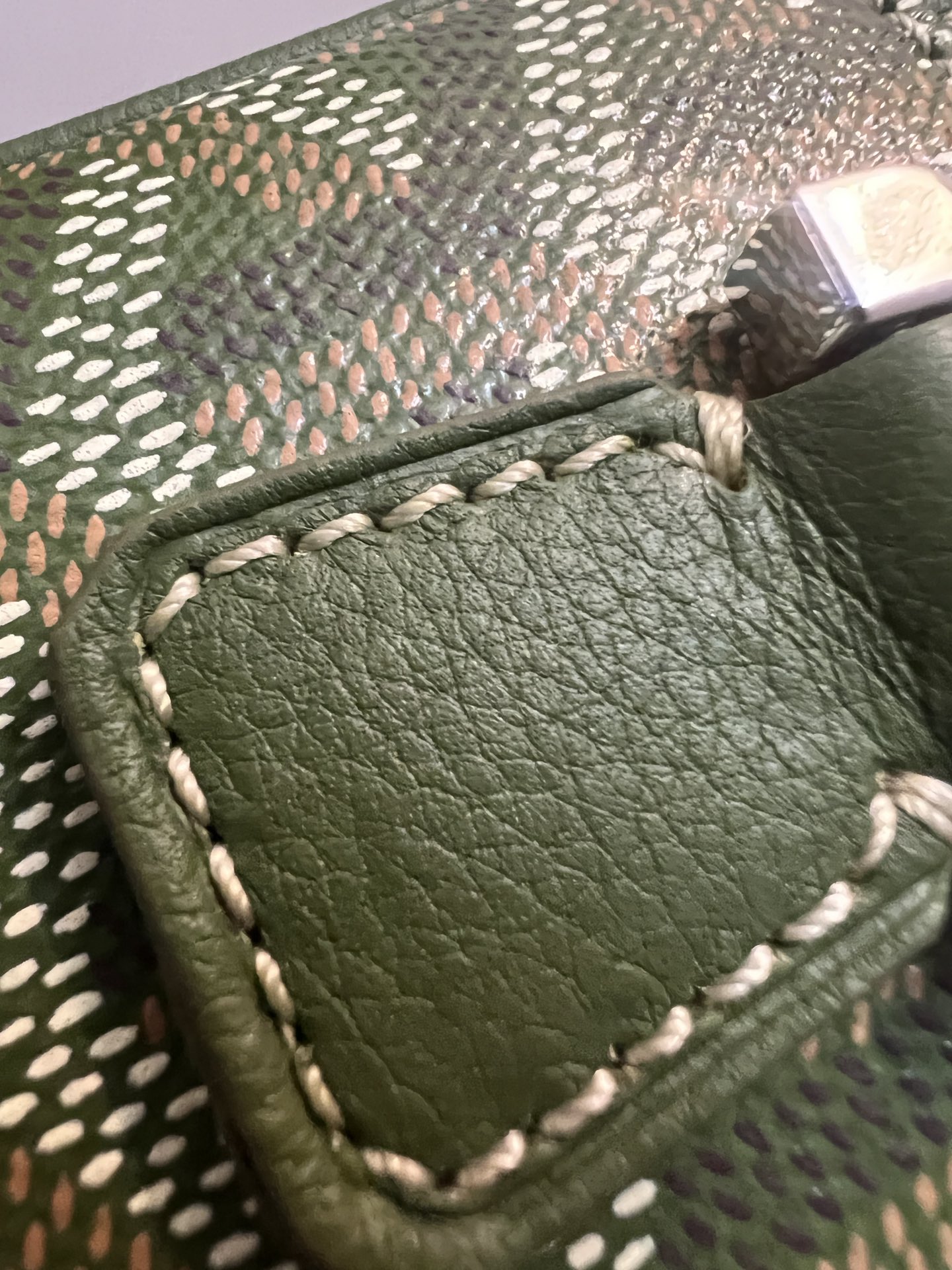 Goyard Limited Edition CAP-VERT Camera Bag Avocado Green, Stylish & Practical 5 i1680845677 9329 3