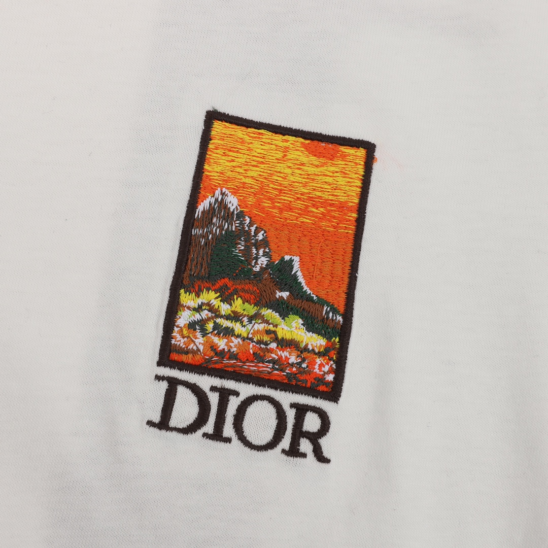 160 DIOR/迪奥 瀑布风景图案圆领短袖