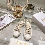 Dior Casual Shoes Embroidery Canvas Cotton PU Sheepskin Casual
