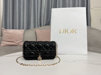 High-End Designer
 Dior Clutches & Pouch Bags Mini Bags Black Cowhide Lady Chains