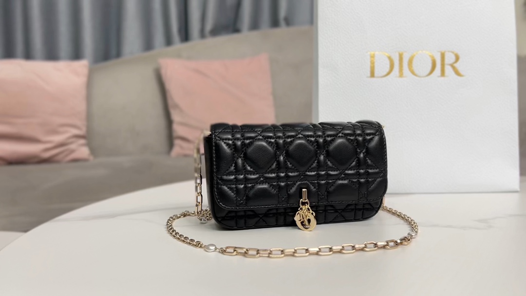 Dior Mini Bags Black
