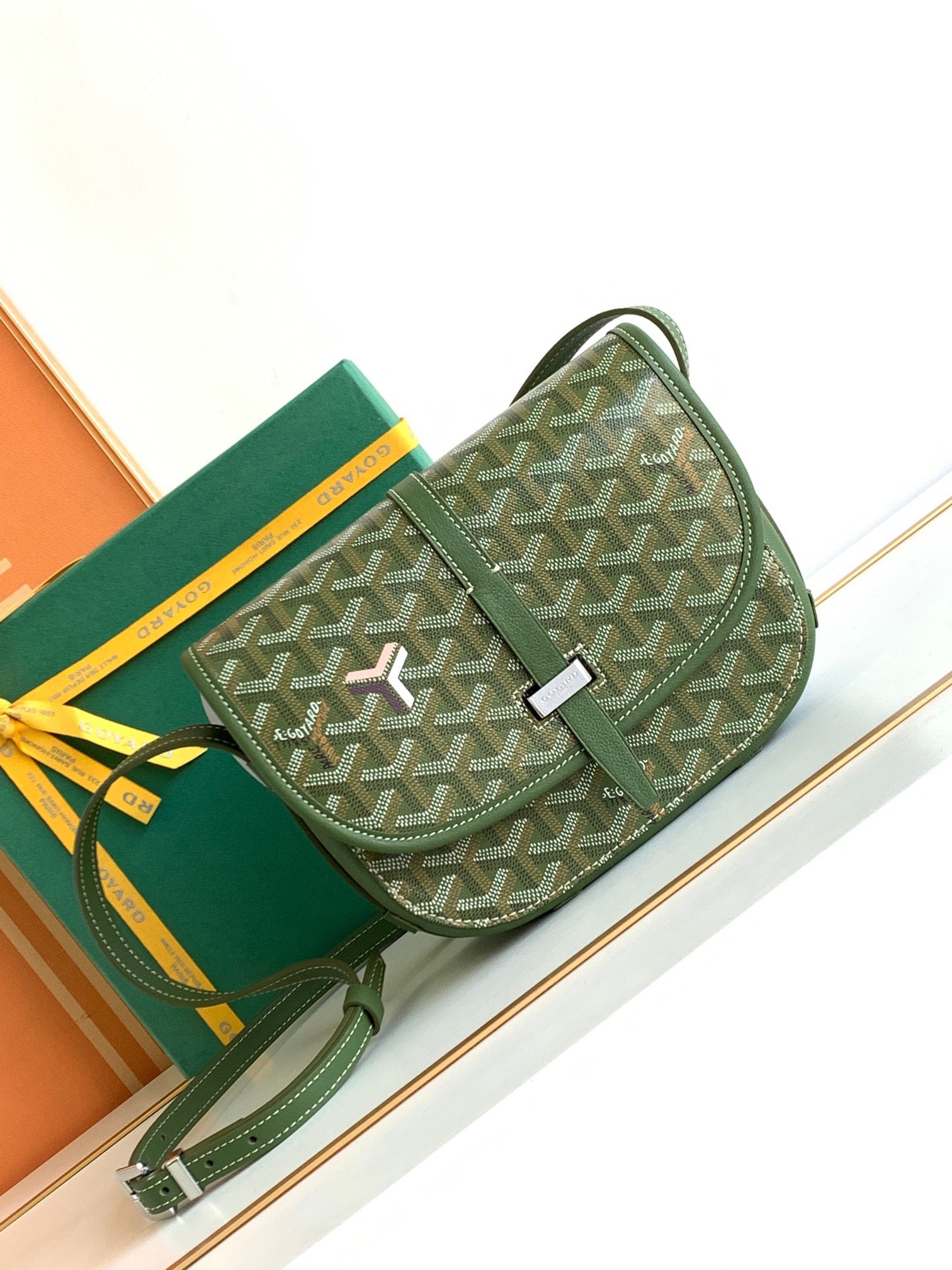 고야드 가방 77414 Goyard Bag