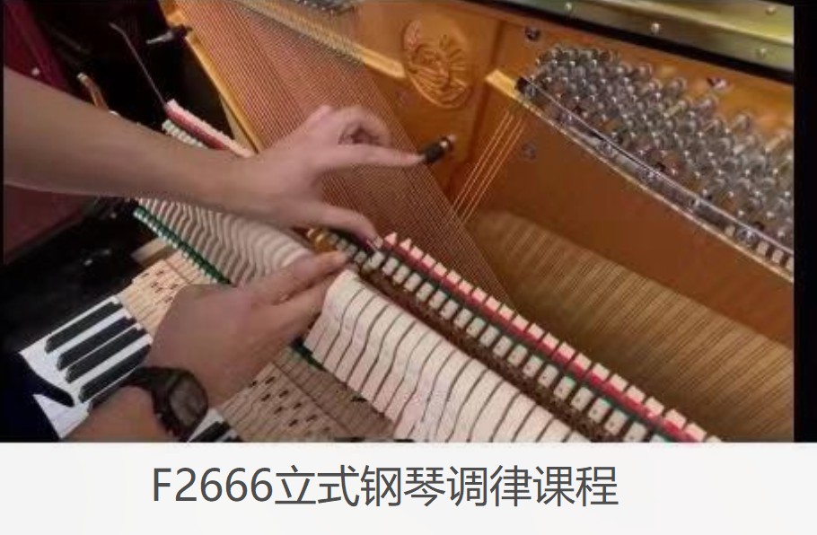 【19[红包]·F2666立式钢琴调律课程】