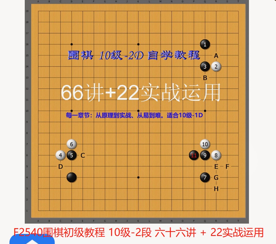 【22[红包]·F2540围棋初级教程 10级-2段 六十六讲 + 22实战运用】