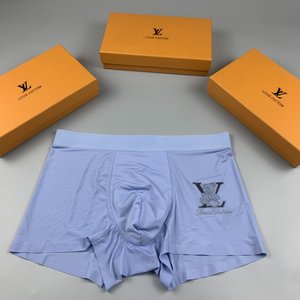 Louis Vuitton Clothing Panties Men Spandex