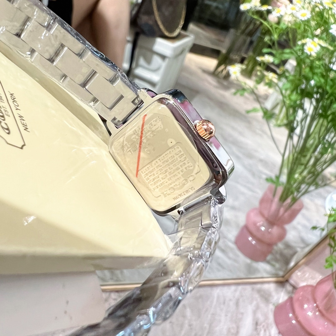 CASS-Series Tea Rose Platter Watch with Gold-Plated Steel Shell & Stone Core - 图片 9