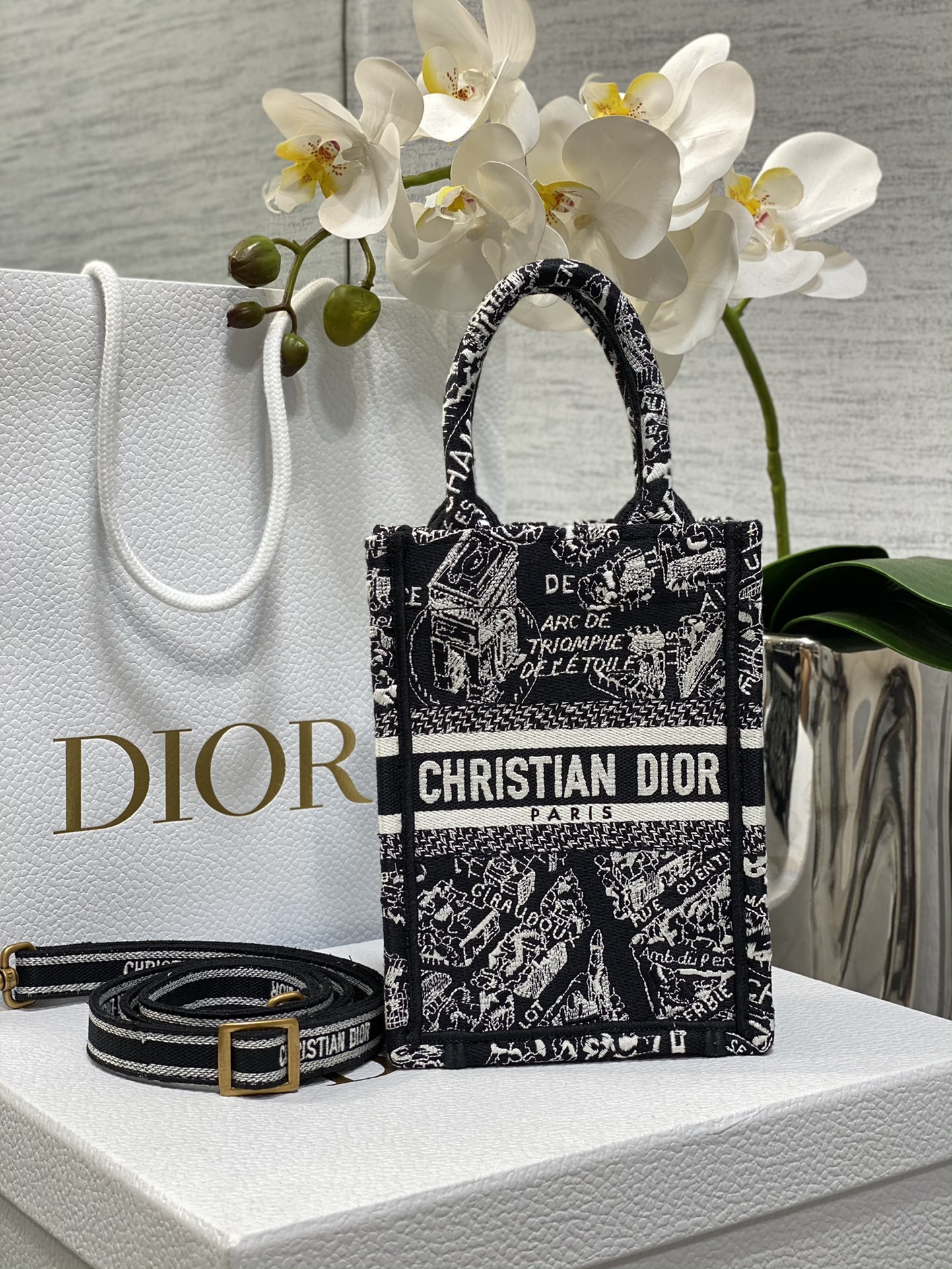 [Dior Women