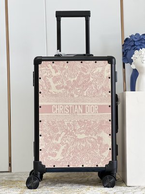 Dior Fake Bags Trolley Case Printing Calfskin Canvas Cowhide Spring Collection Oblique