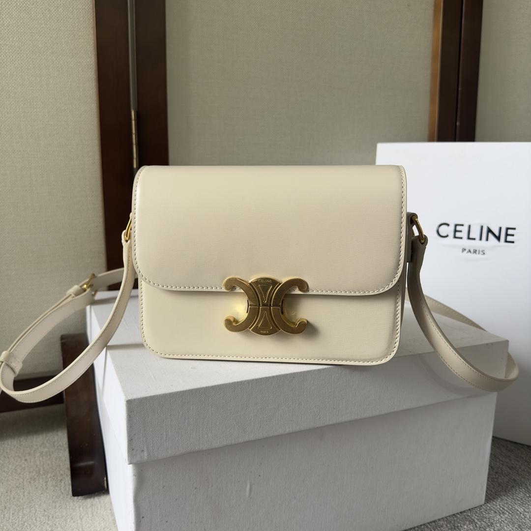 Celine Style Leather Bag Lookbook Reference image 1