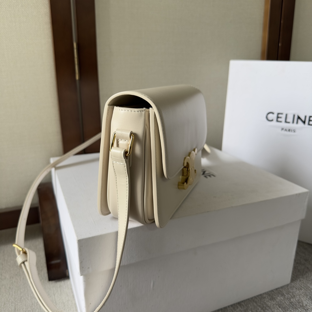 Celine Style Leather Bag Lookbook Reference image 2