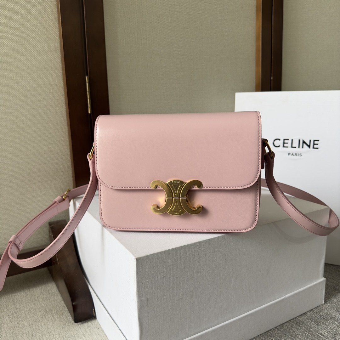 Celine Style Leather Bag Lookbook Reference image 1