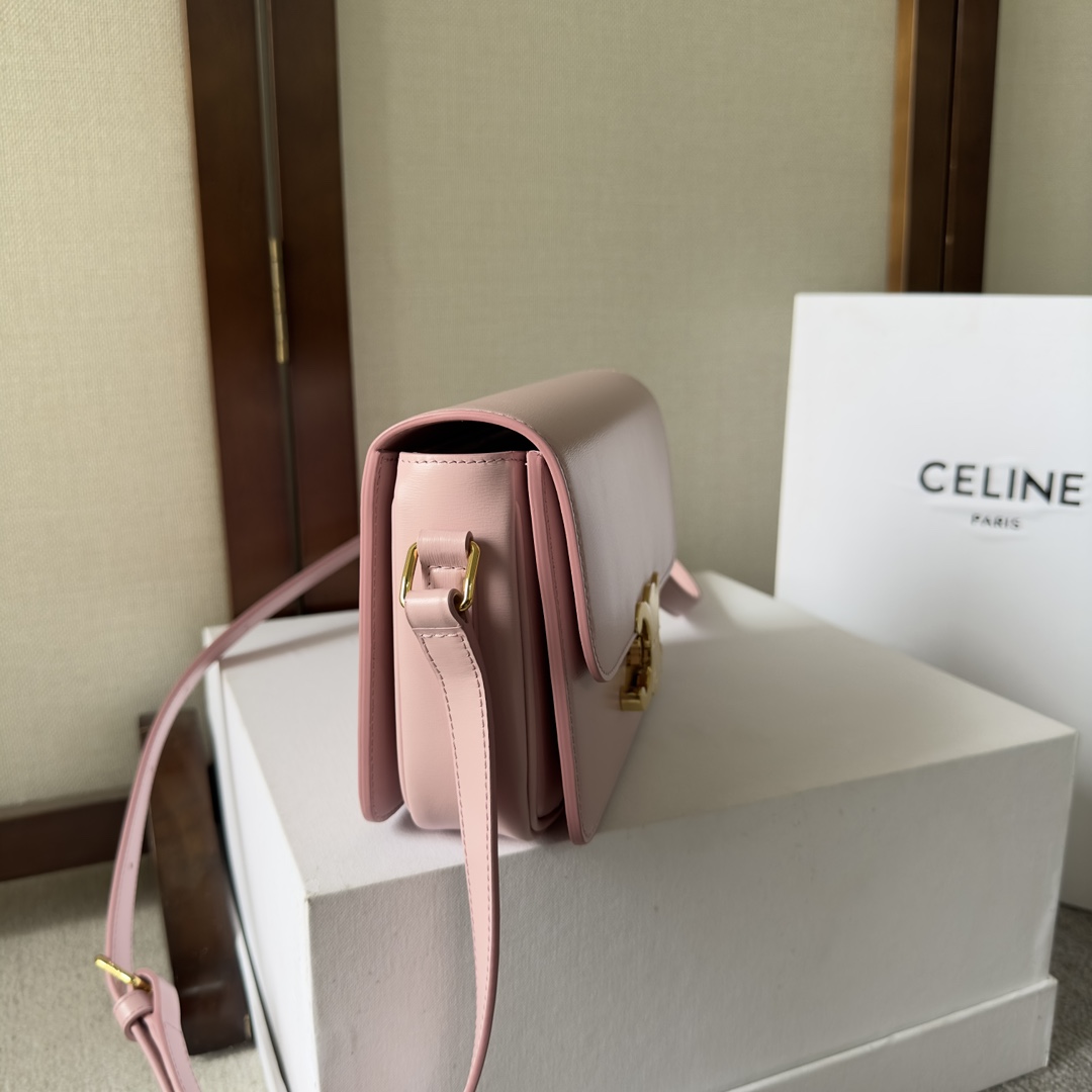 Celine Style Leather Bag Lookbook Reference image 2