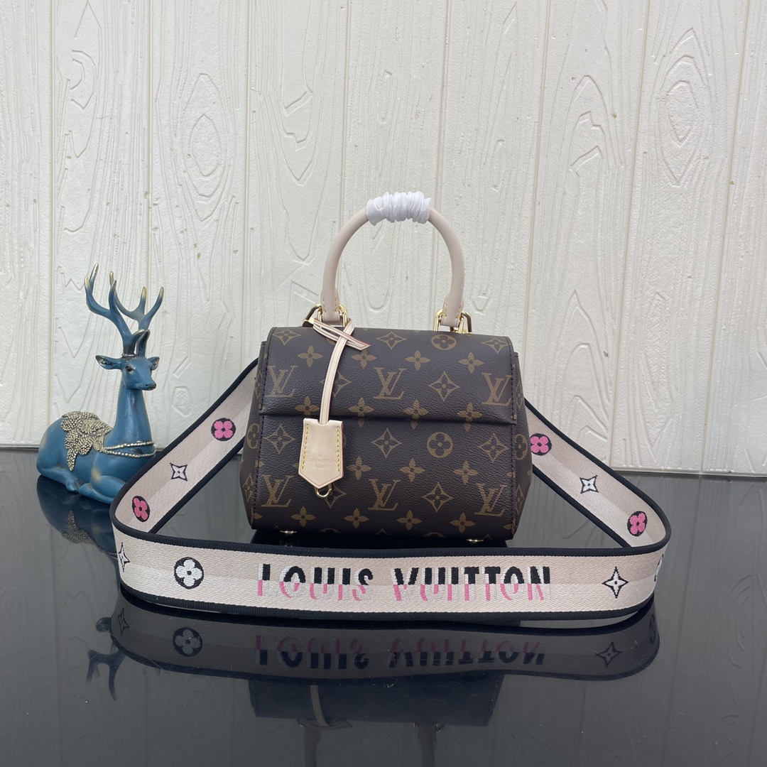 Louis Vuitton LV Cluny Bags Handbags Black Mini M46055