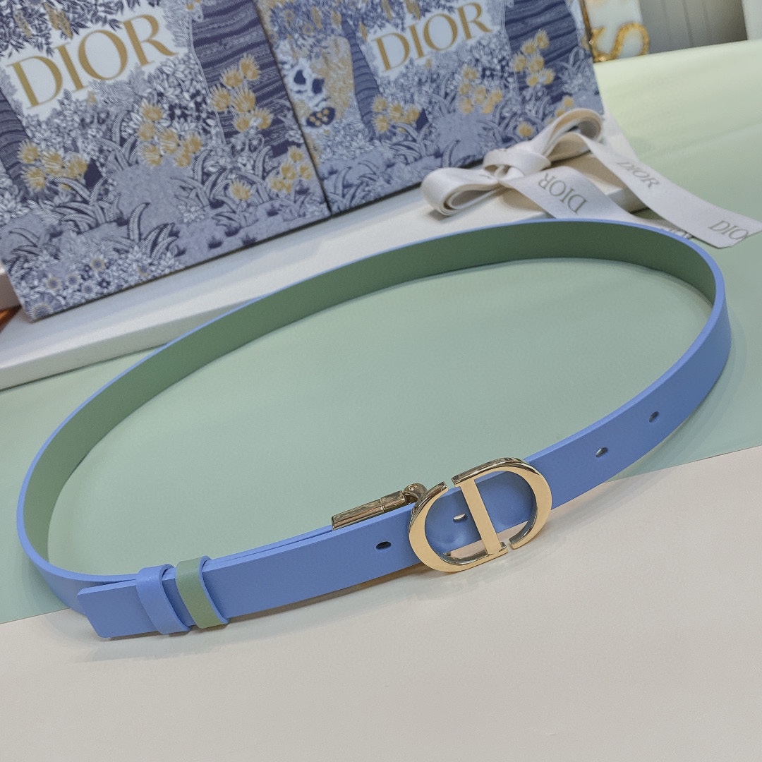 Dior Belts Gold Calfskin Cowhide