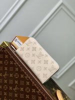 Louis Vuitton Wallet White M61869