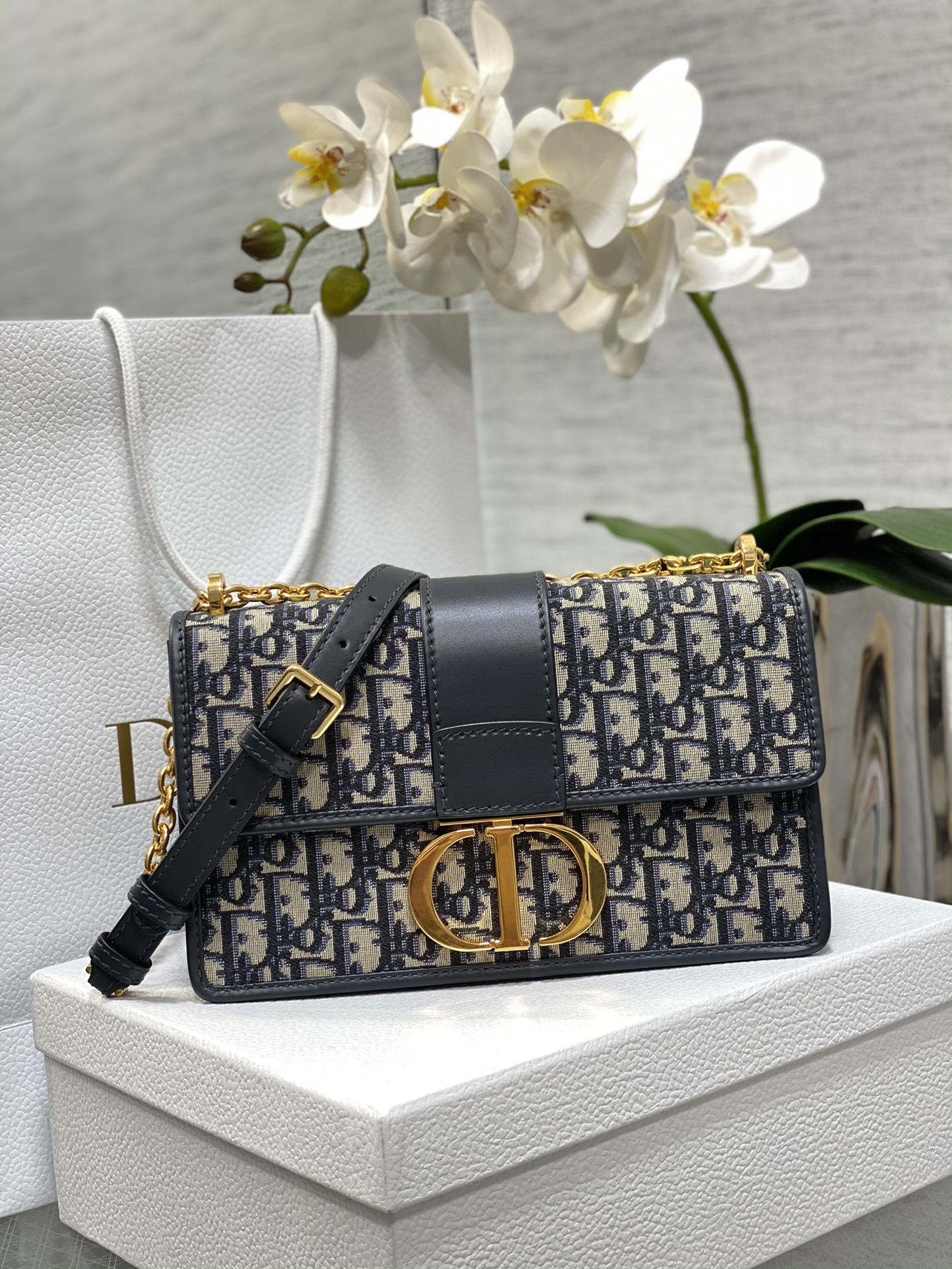 [Dior Women