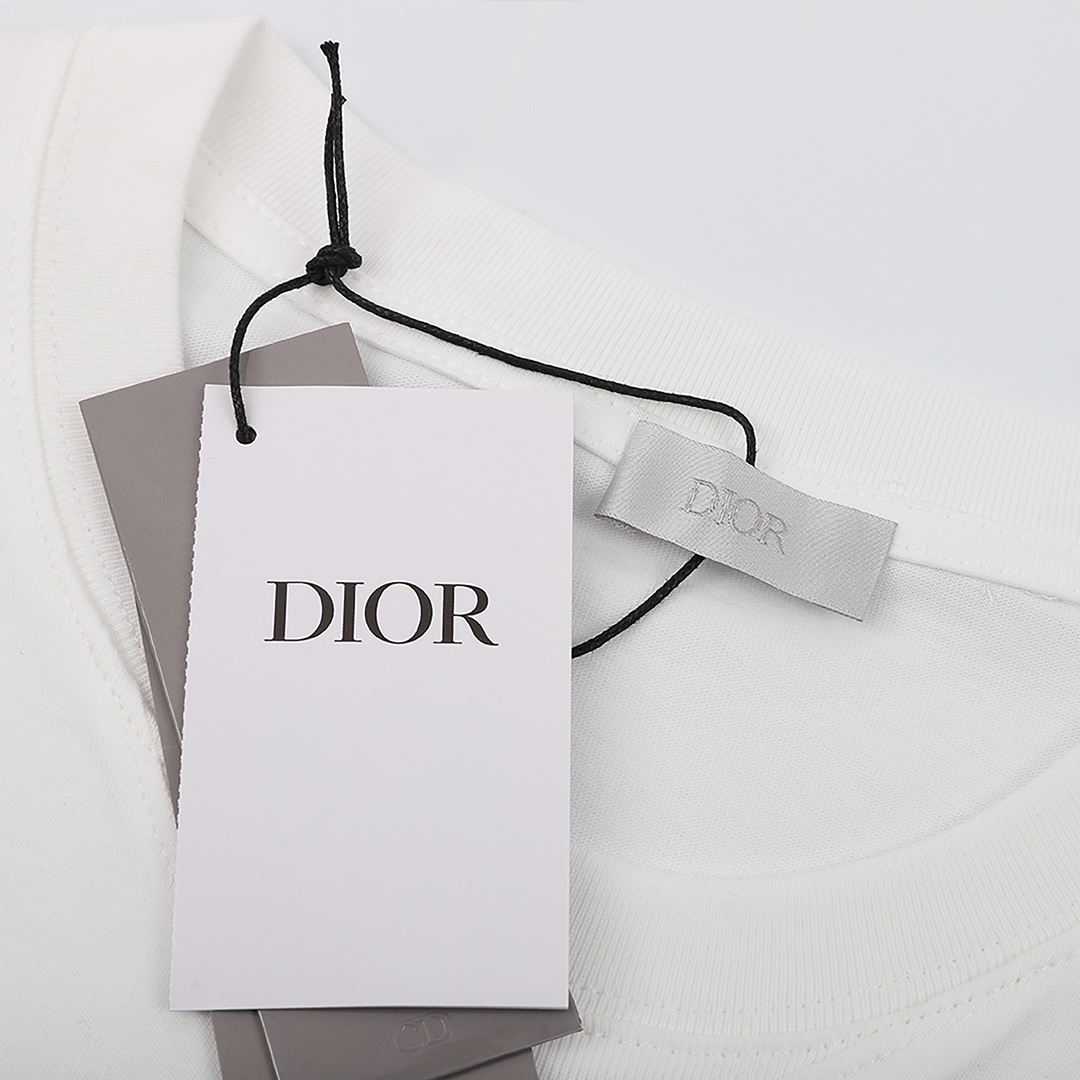 170 DIOR/迪奥 泼墨刺绣LOGO短袖T恤