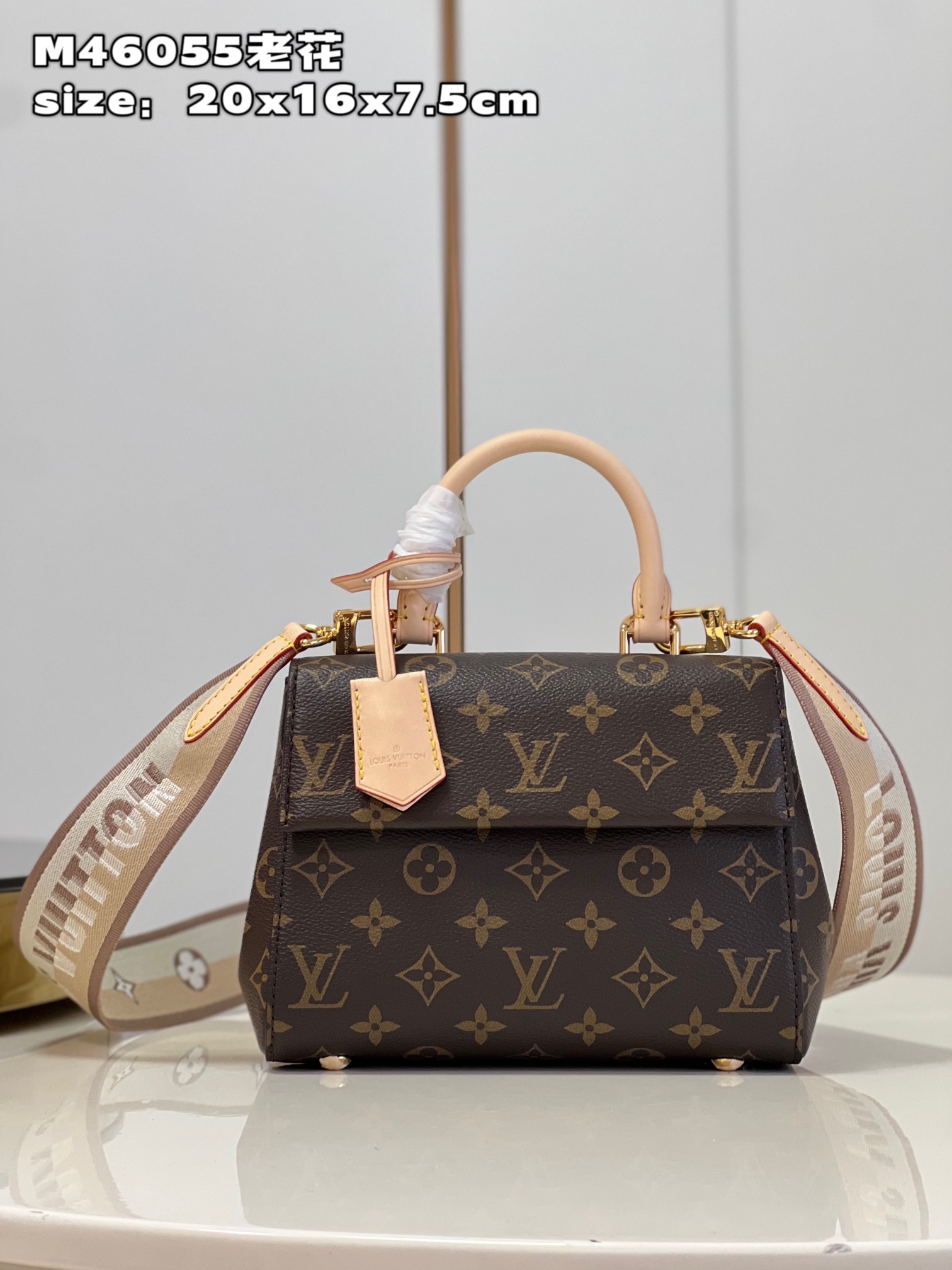 Louis Vuitton LV Cluny Bags Handbags Monogram Canvas Fabric Mini M46055