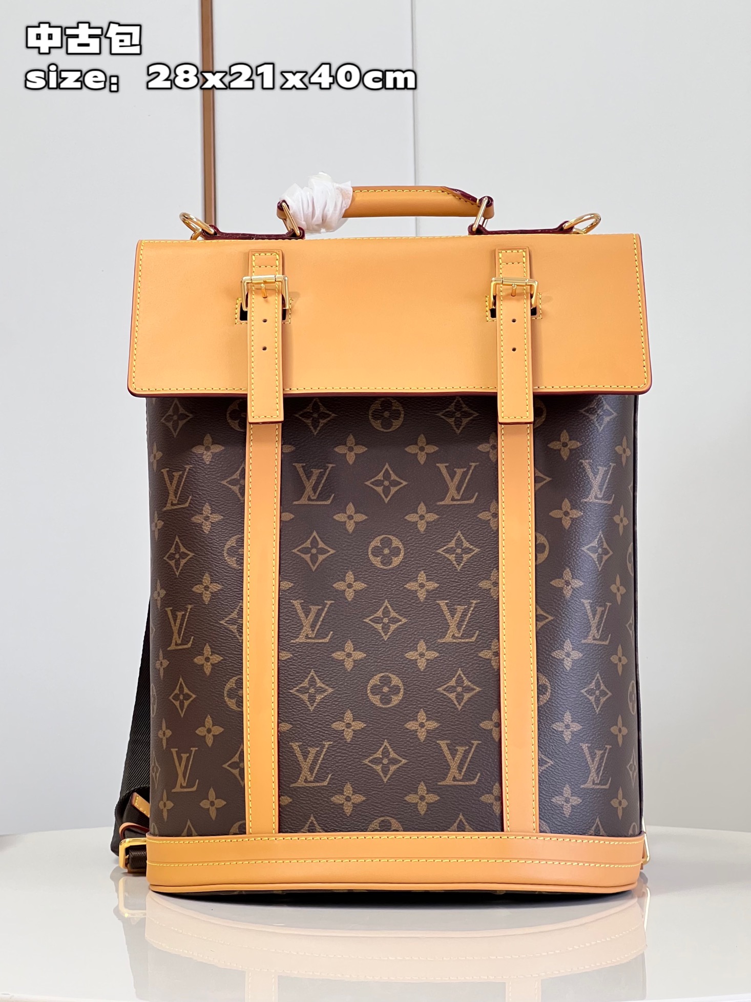 לואי ויטון LV Montsouris תיקים תיקי גב Monogram Canvas קנבס קווייד אופנה רגיל