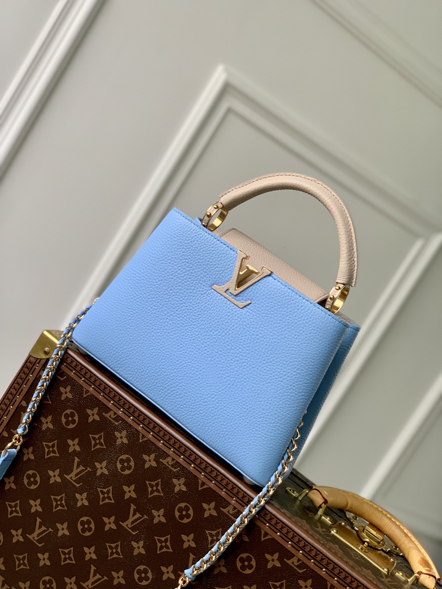 Louis Vuitton LV Capucines Bags Handbags Designer Fake
 Blue Splicing Cowhide Snake Skin M21689