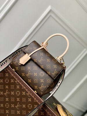 Louis Vuitton LV Cluny Top
 Bags Handbags Black Mini M46055
