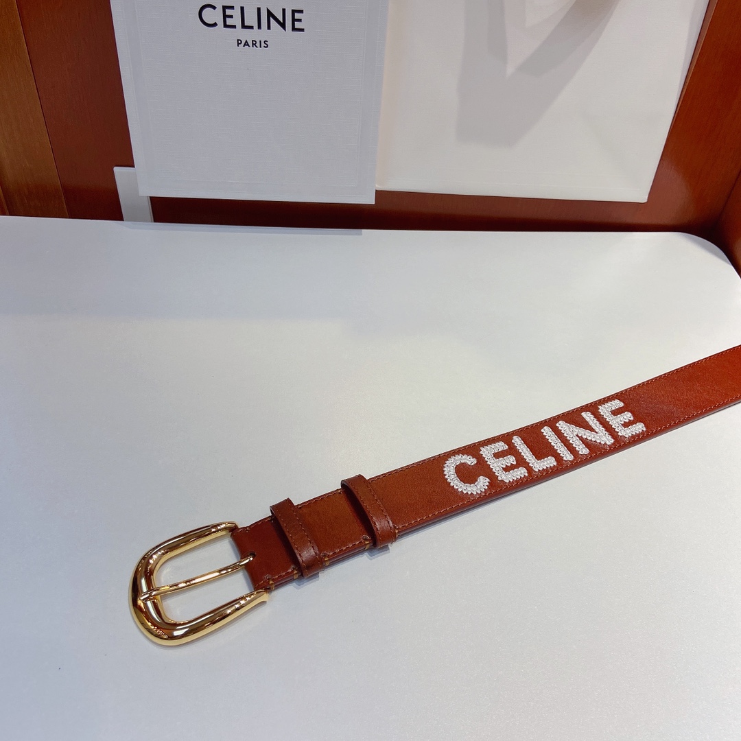 赛琳CELINEWESTERN大号C